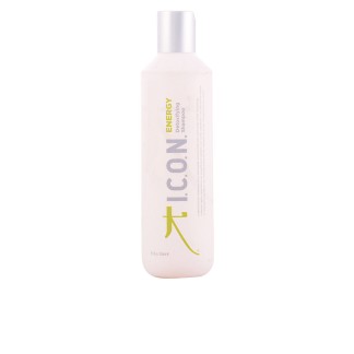 ENERGY detoxifiying shampoo 250 ml