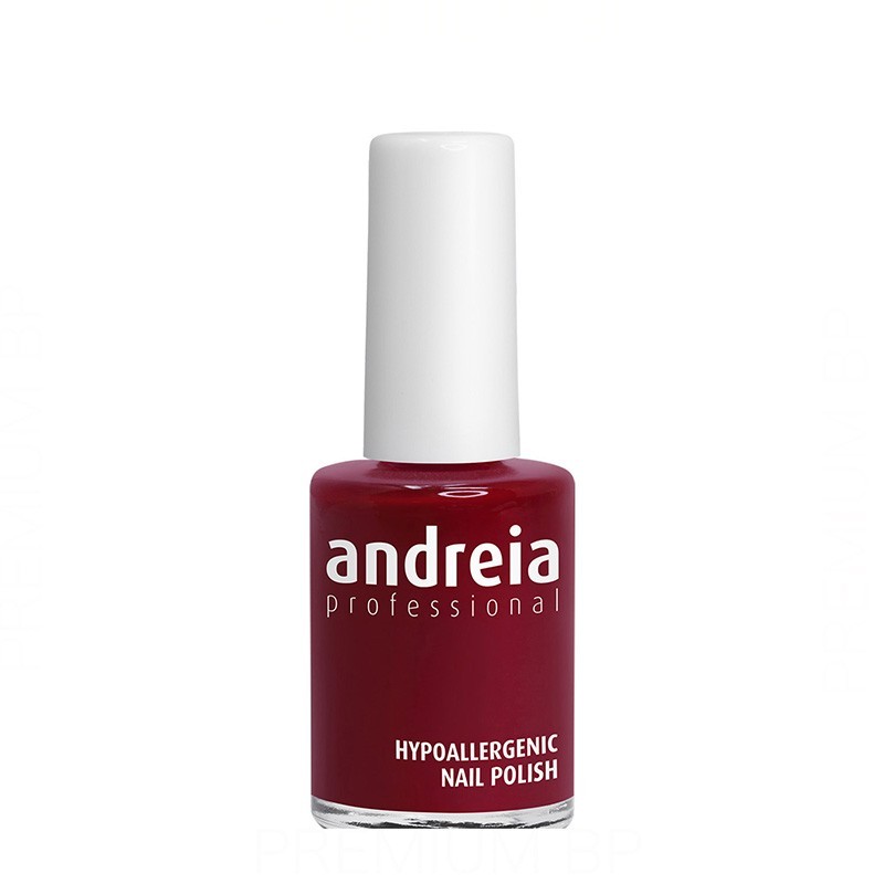 Andreia Professional Hypoallergenic Nail Polish Color 117 14 ml